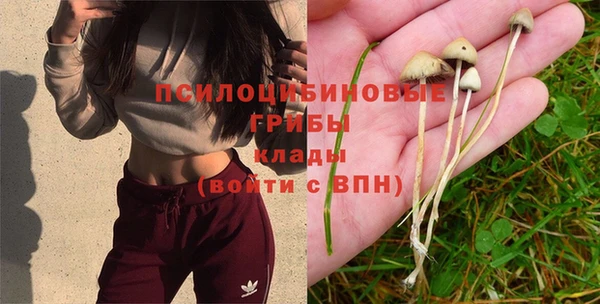 соль курить ск Абаза